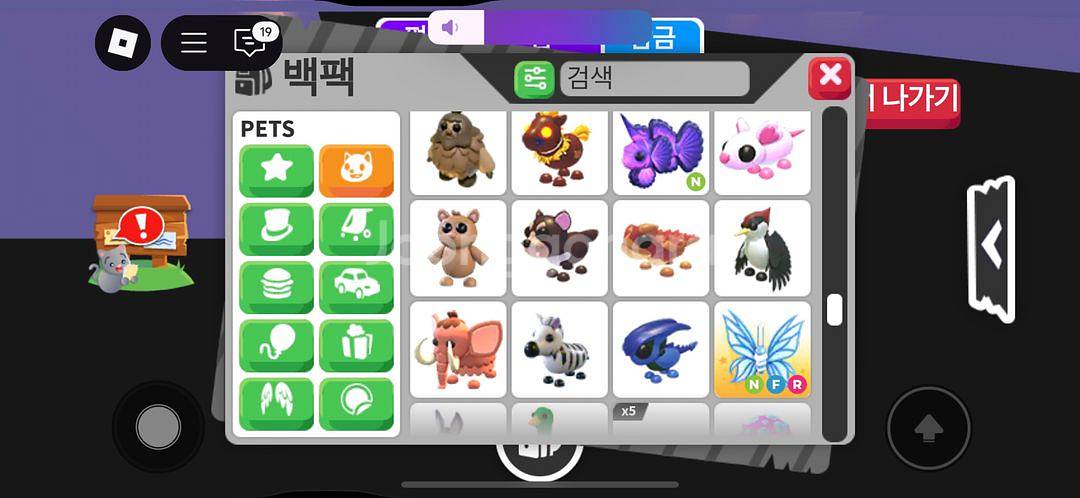 입양하세요 펫팔아요 가격제시필수--6