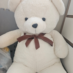 대형곰인형
