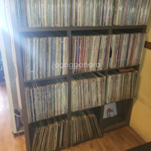 lp650여장
