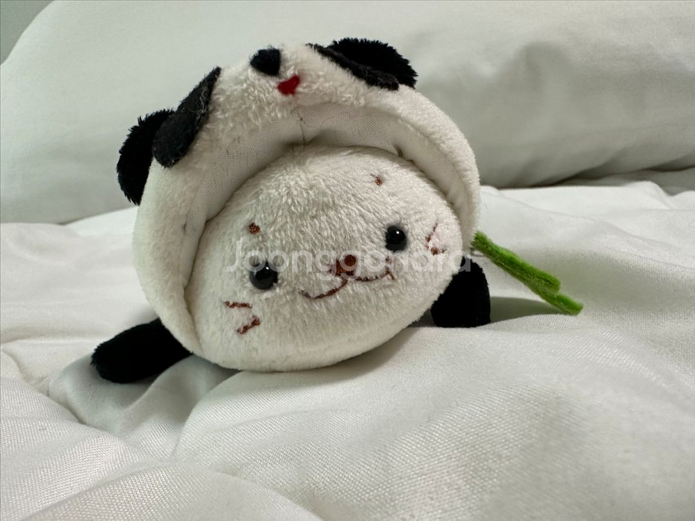 고전 시로탄 판다인형--0