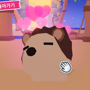 입양하세요 날타 고슴도치 급처