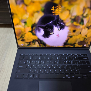 갤럭시탭 S9 울트라 256GB 팝니다