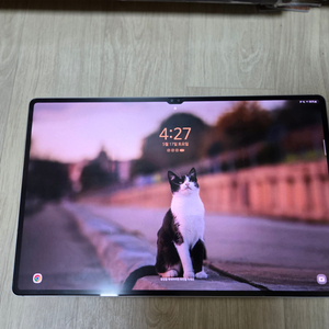 갤럭시탭 S9 울트라 256GB 팝니다