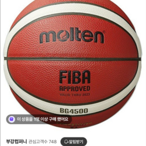 몰텐 4500농구공