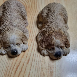 강아지 모형 2마리