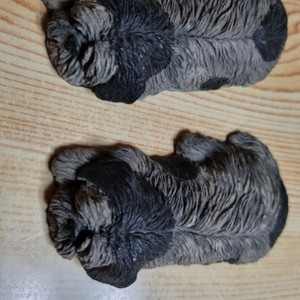 검정 강아지 모형 2마리