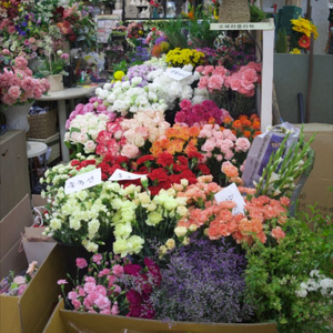 캐논 RF 85mm F2 Macro IS STM 삽니다