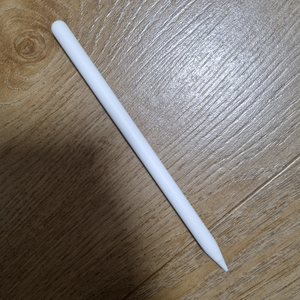 애플펜슬 프로