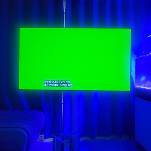 LG OLED55CXFNA TV+모블랩스 거치대