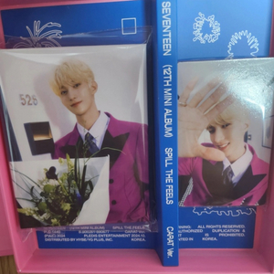 세븐틴 캐럿반 도겸이 포카