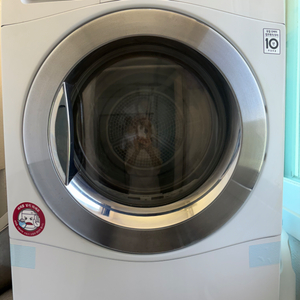 LG 트롬 9kg 듀얼인버터 건조기