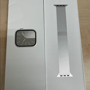 애플워치9 45mm 셀룰러 실버 스테인래스, 밀레즈
