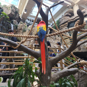 5070TI 5080 9070xt 9070 7900등.