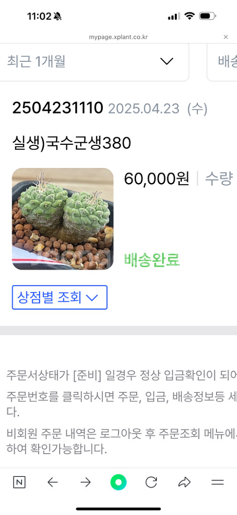 국수 선인장 (쌍두) 아프리카식물 코덱스--2