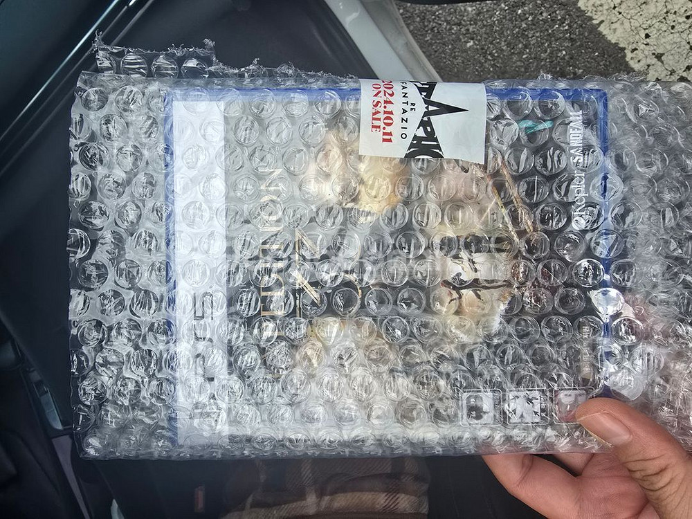 ps5 미개봉새상품 클레르 옵스퀴르 33원정대--0
