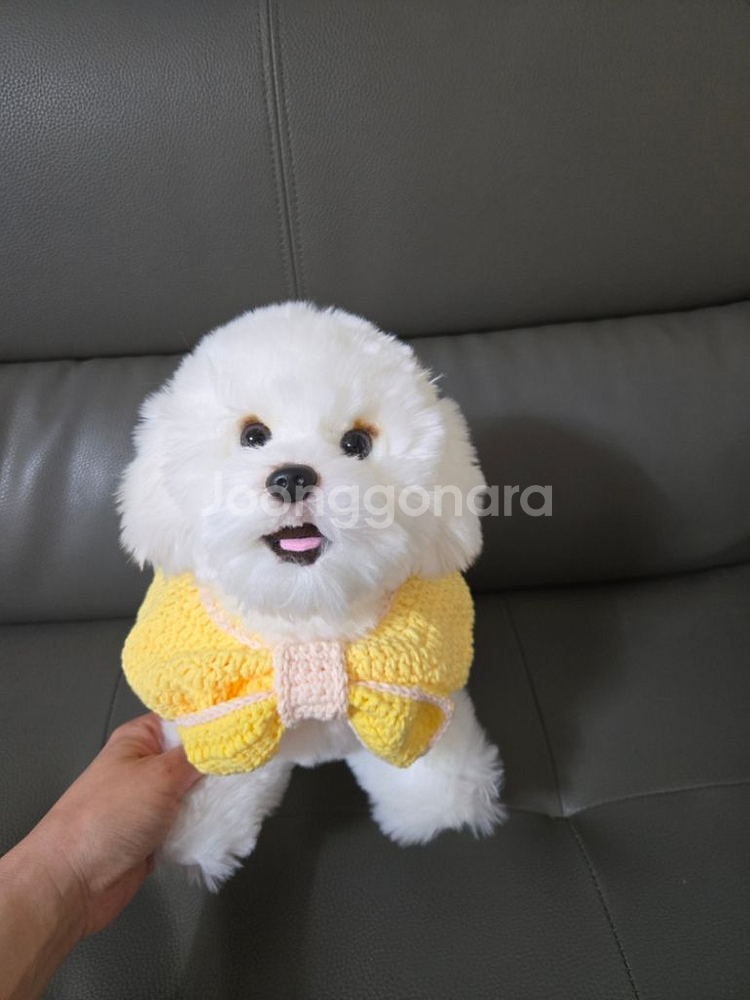 강아지케이프(새상품)--1