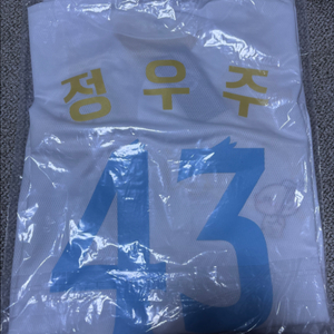 [95] 꿈돌이x한화이글스 레플리카 정우주 마킹