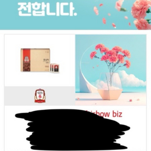정관장 홍삼차 3g x100