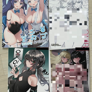 블루아카이브,스타레일 ( 성인회지/성인 일러북)