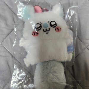 날아오르는모몽가
