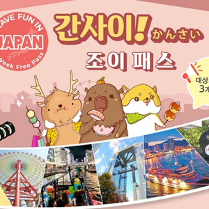 간사이 조이패스 3회권 2장 팝니다 가격은 장당 가격
