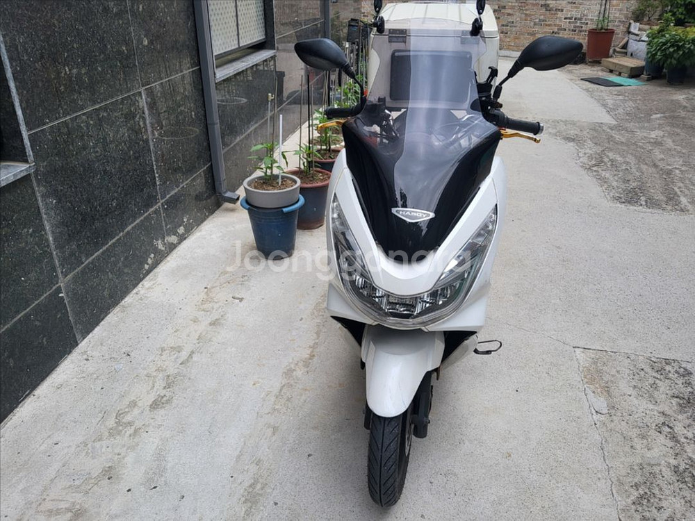 혼다 PCX125--1
