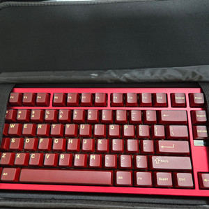 성능 1등키보드 Bold tkl (우팅 상위)