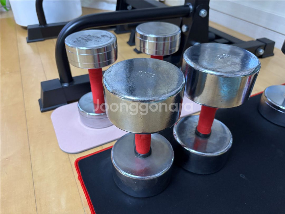 아령 덤벨 10kg 2개--0