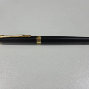 waterman new hemisphere F Nib