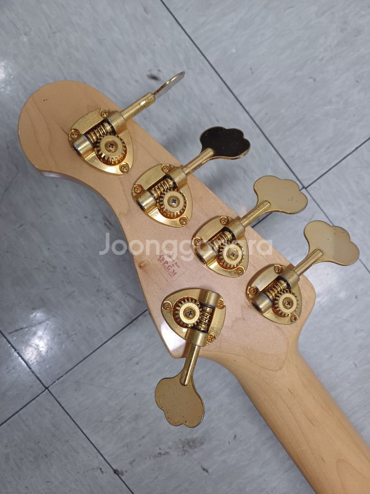 Moon Custom jj-5 fretless--2