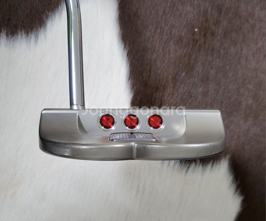 스카티카메론 고로 GOLO6 퍼터--4