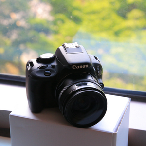 캐논 EOS 100D + EF 24mm f2.8단렌즈