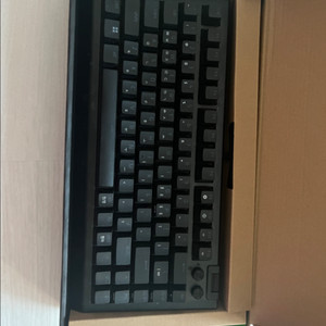 레이저 블랙위도우v4 75