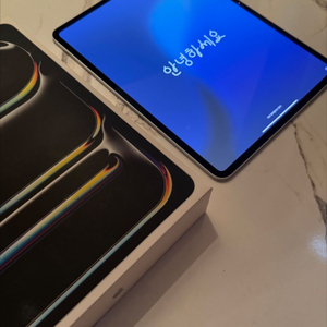 아이패드 프로 13 M4 256GB Wi-Fi