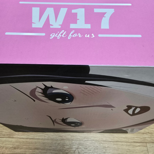 원피스피규어 원피스레진 w17 와노쿠니 조로 로빈