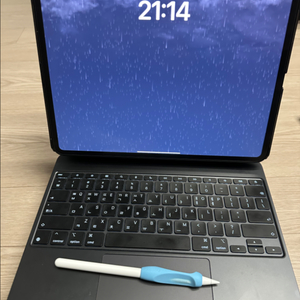 아이패드 프로 13 WiFi M4 512G 풀세트