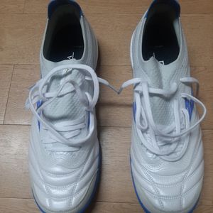모렐리아 네오 살라베타 265 팝니다