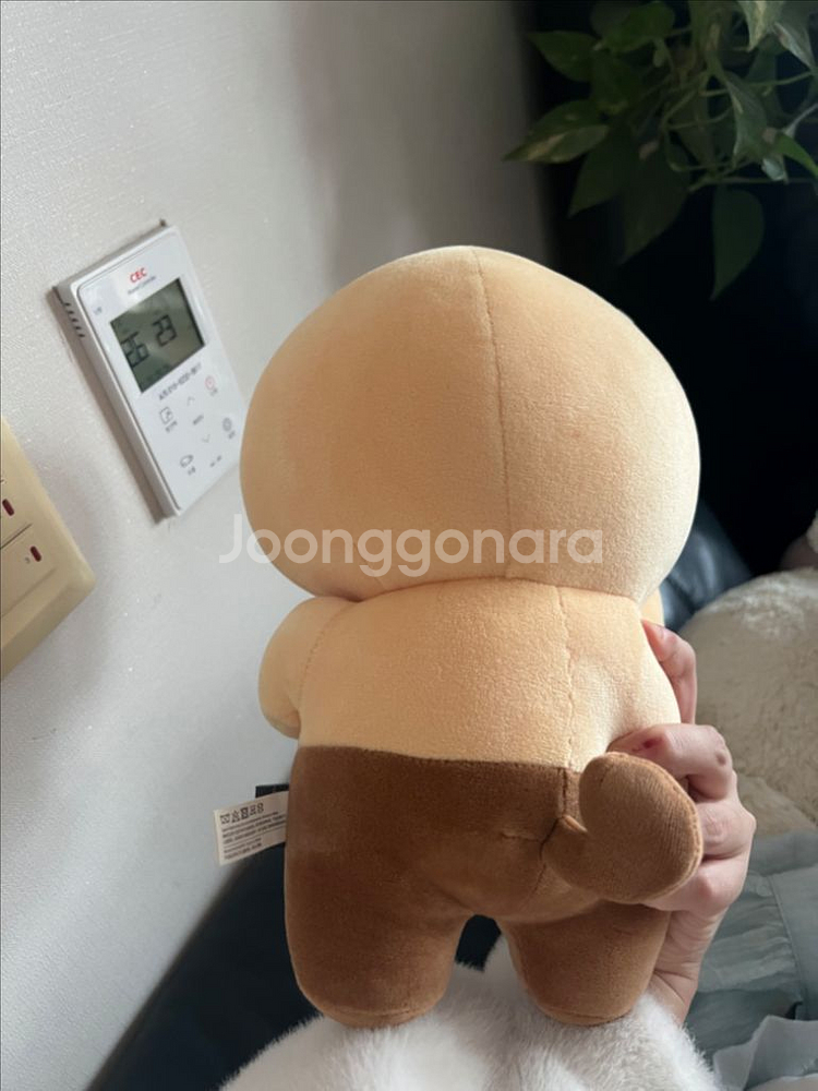 카카오 춘식이 미니 바디필로우--1