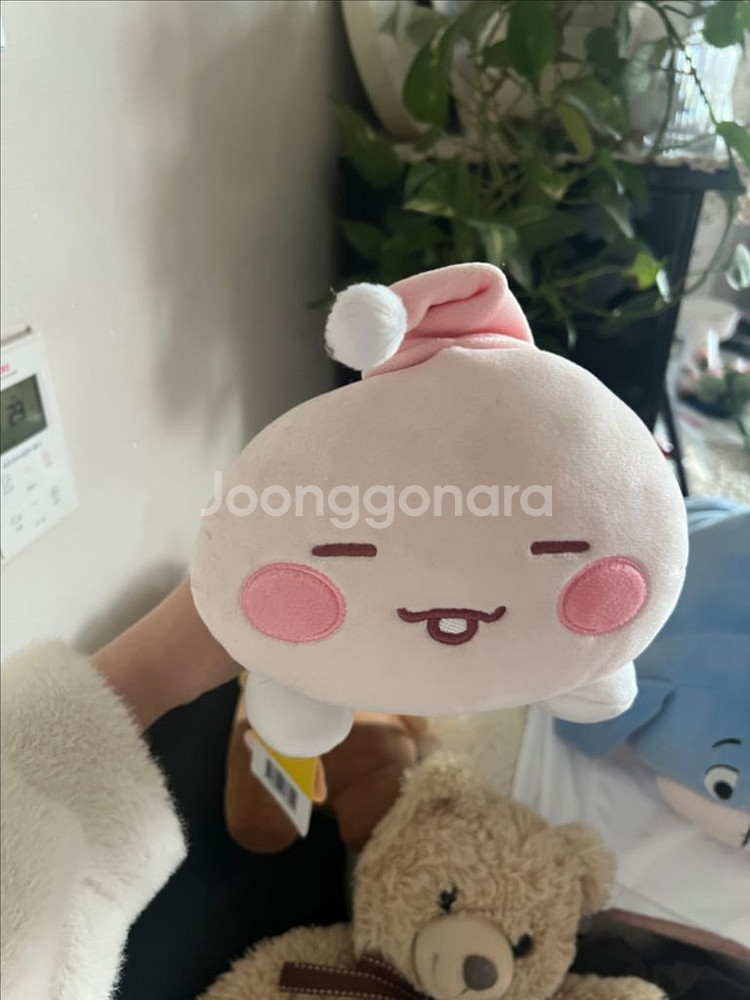 카카오 어피치 미니 바디필로우--0