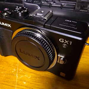 파나소닉 루믹스 DMC-GX1, 14-45렌즈