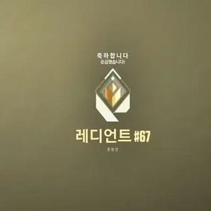 발로란트 대리/레디언트