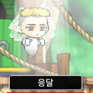 메랜 메이플랜드 닉네임 판매