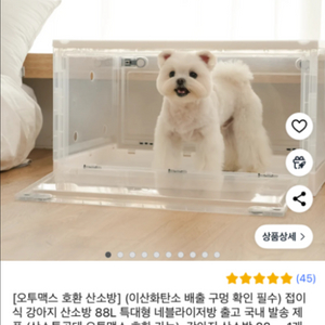 강아지 산소방 88L