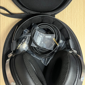 fiio ft1 16만
