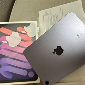 아이패드미니6 256gb 퍼플