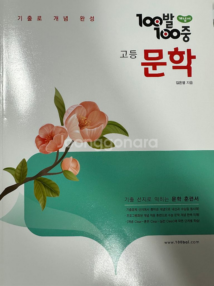 100발 100중 고등 문학 개념서 (2025)--0