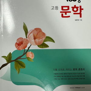 100발 100중 고등 문학 개념서 (2025)