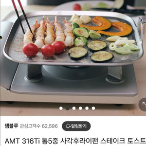 AMT 스텐팬