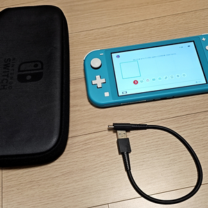 멀쩡한 닌텐도 스위치 라이트 nintendo