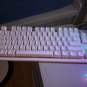 커세어 k70 pro tkl mgx